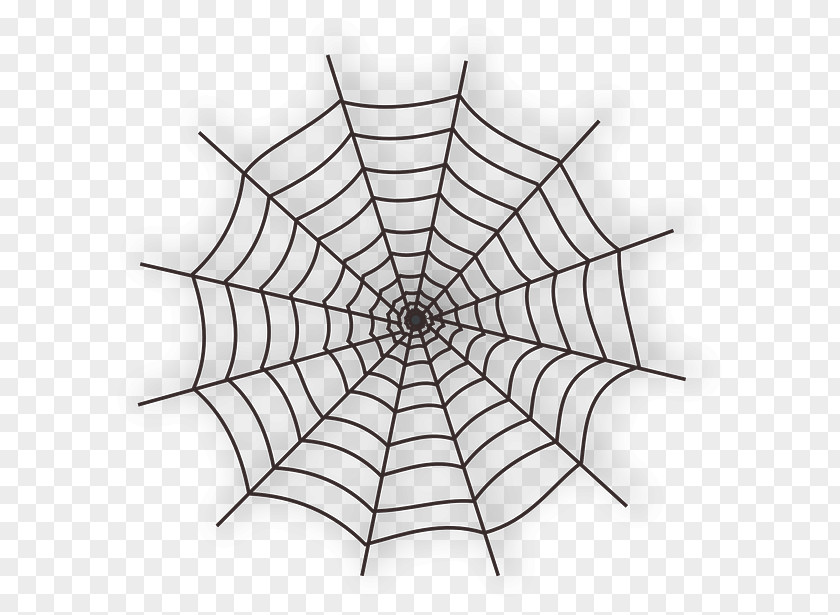 Cobweb Spider Web Clip Art PNG