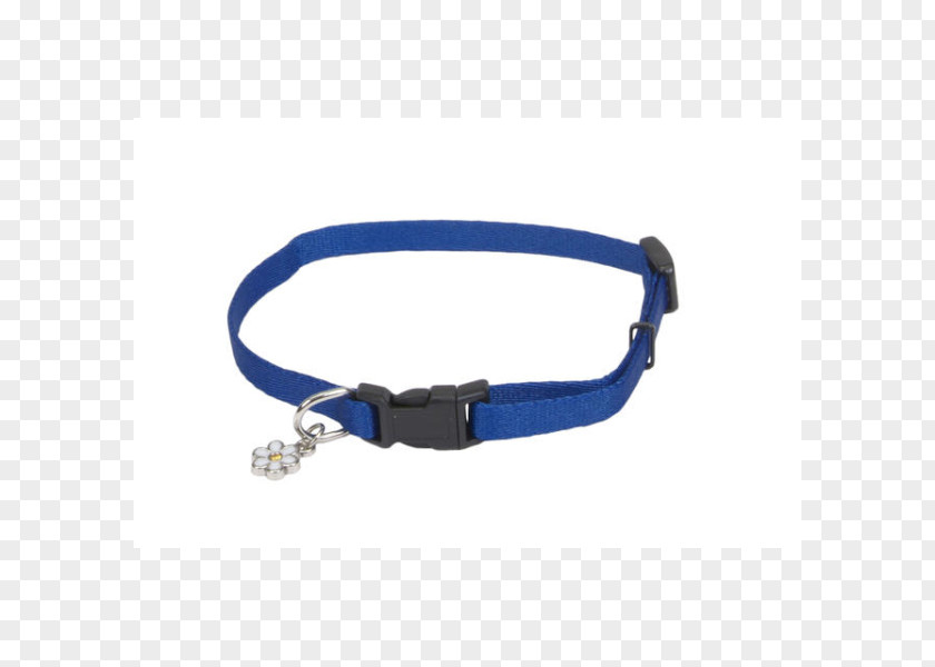 Dog Leash Collar Harness PNG