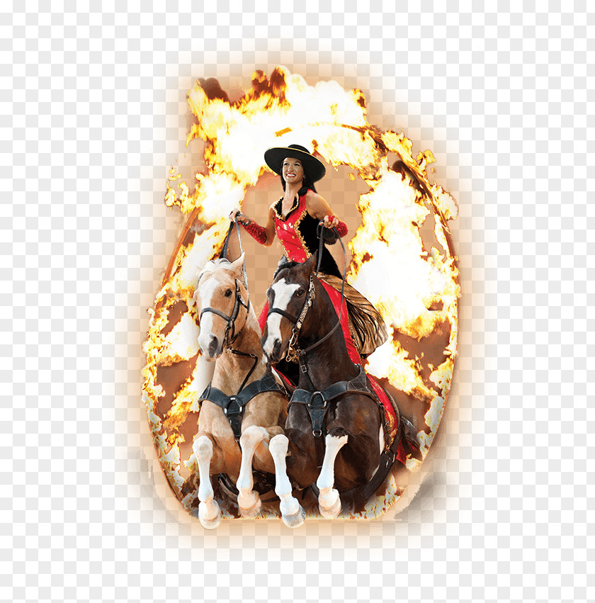 Dolly Parton's Stampede Horse Cowboy Christmas Day Bridle PNG