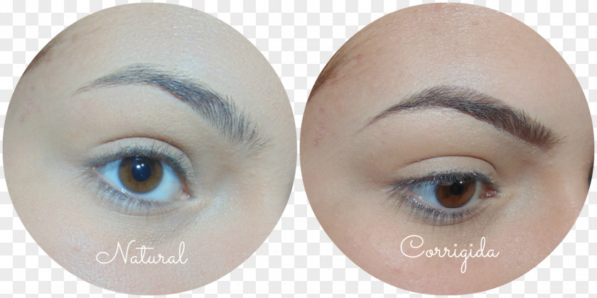 Eyelash Extensions Eyebrow Eye Shadow Hair Coloring PNG