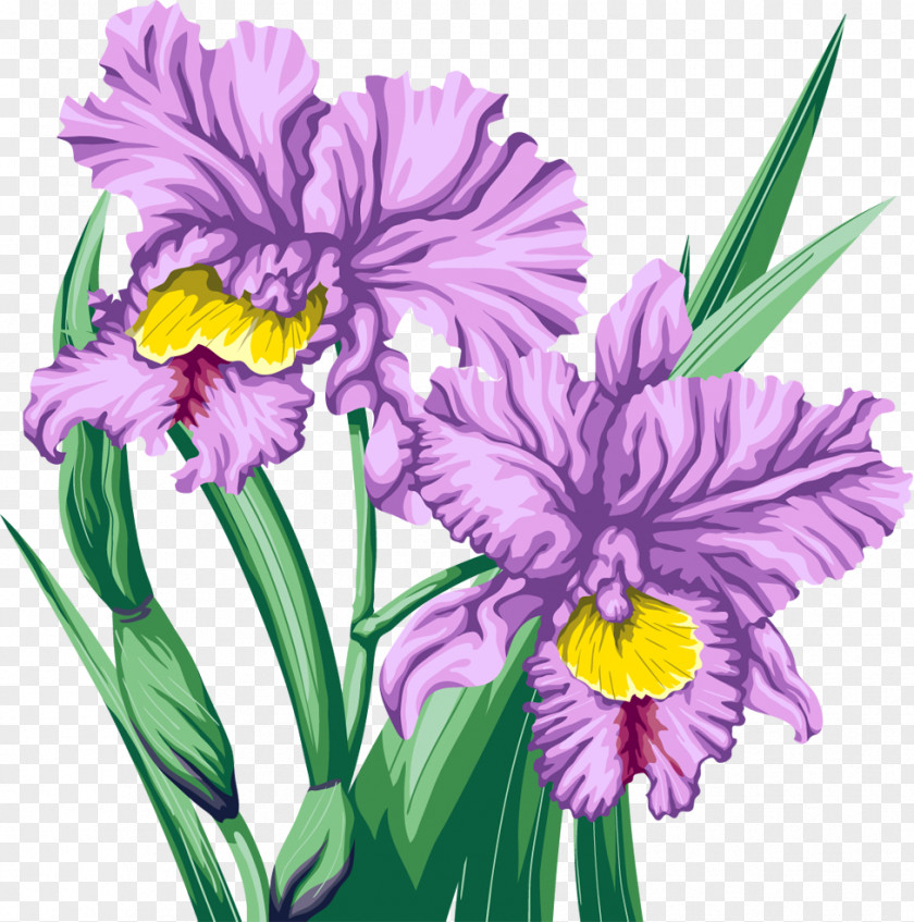 Hand Painted Flower Cut Flowers Orchids Clip Art PNG