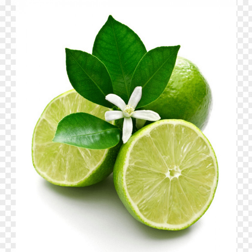 Kaffir Lime Food Persian Key Citrus Sweet Lemon PNG