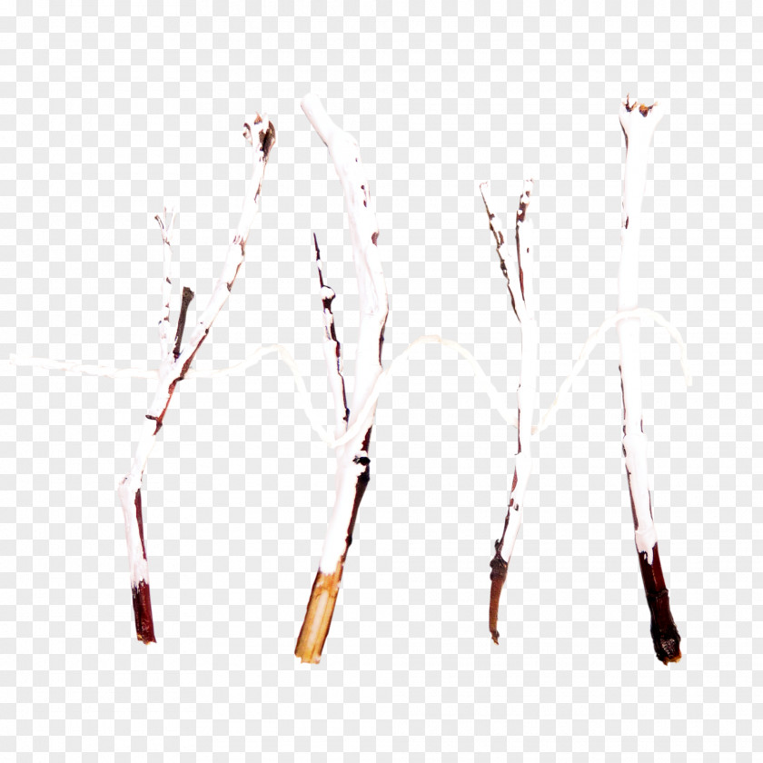 Snow Branch Download PNG