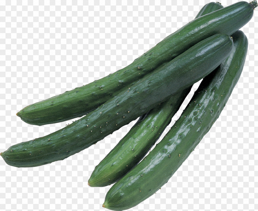 Cucumber Icon PNG