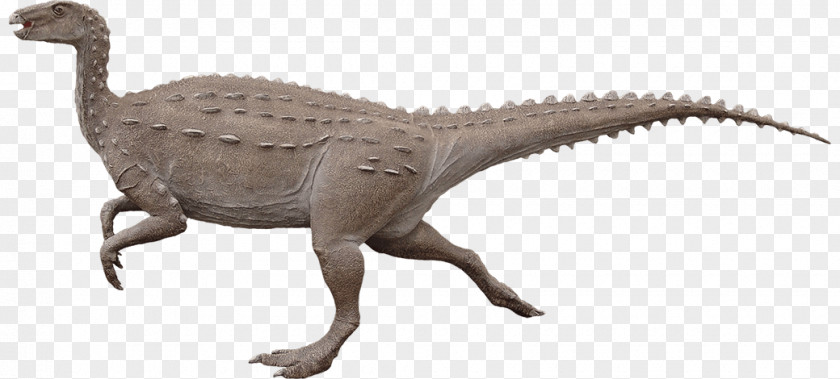 Dinosaur Velociraptor Moab Giants Scelidosaurus Nothronychus PNG