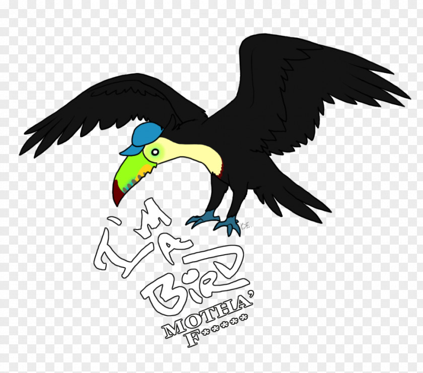 Eagle Bald Beak Clip Art PNG