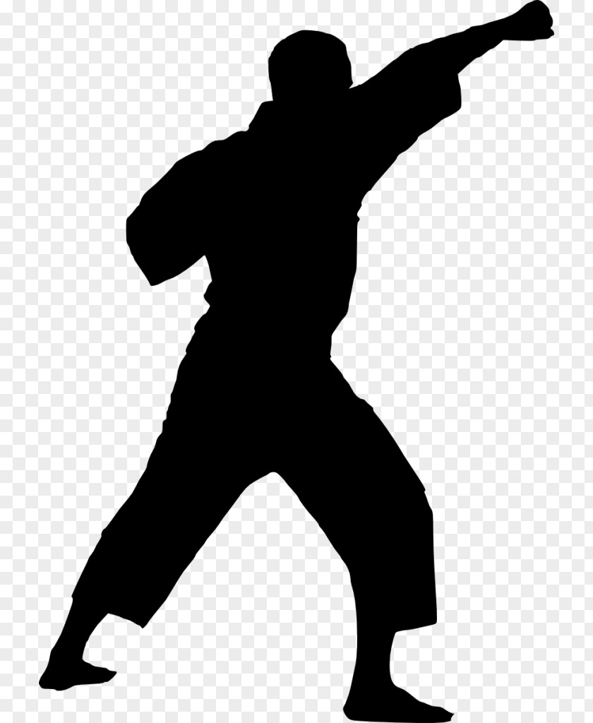 Karate Silhouette Martial Arts PNG