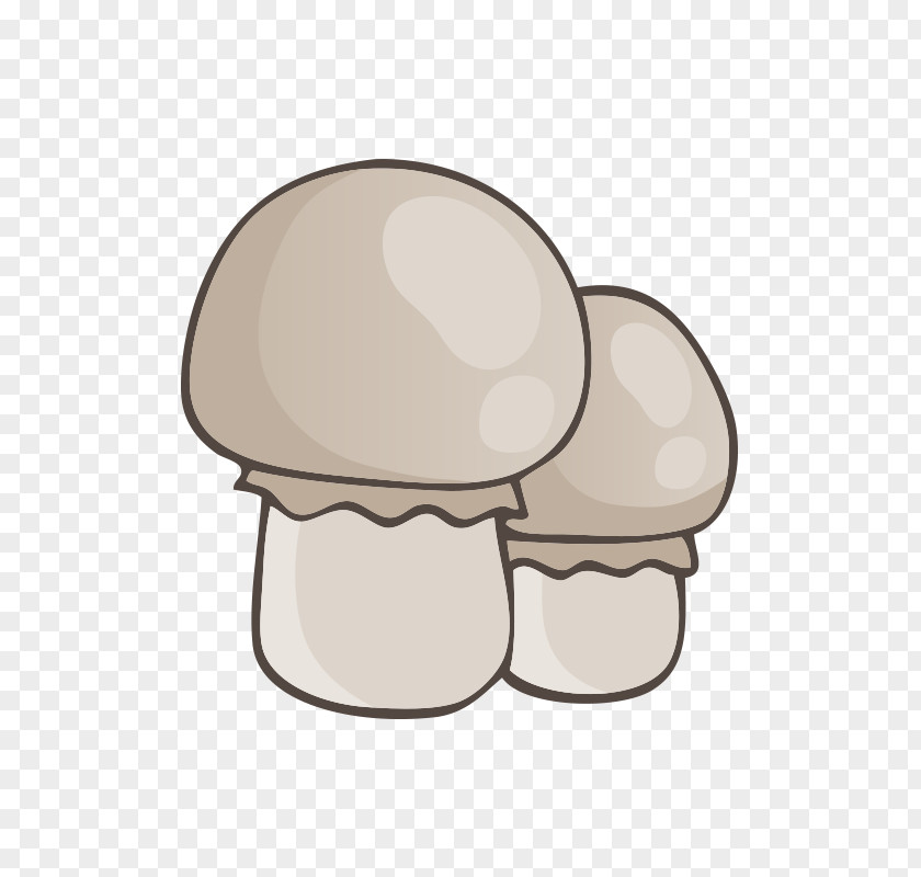 Mushroom,fungus Boletus Edulis Mushroom Fungus PNG
