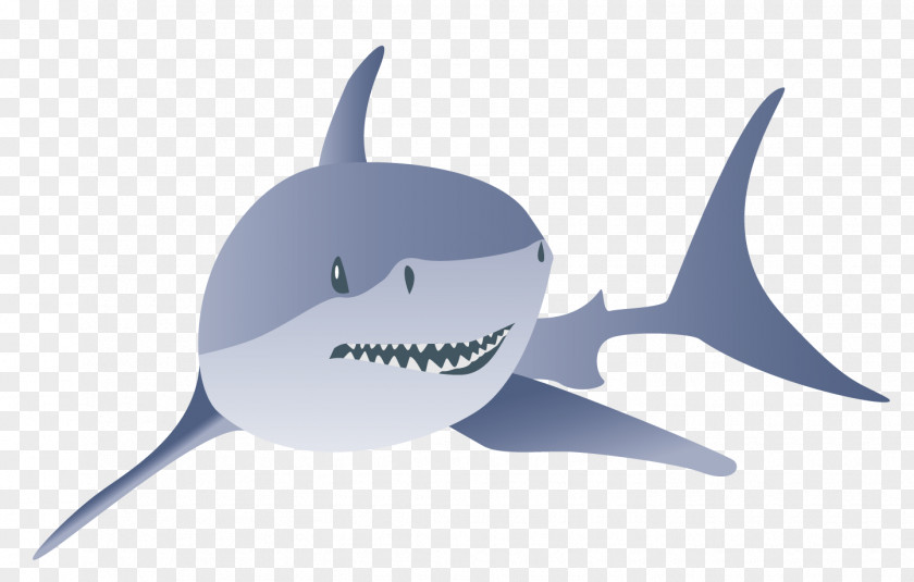 Shark Photography Clip Art PNG