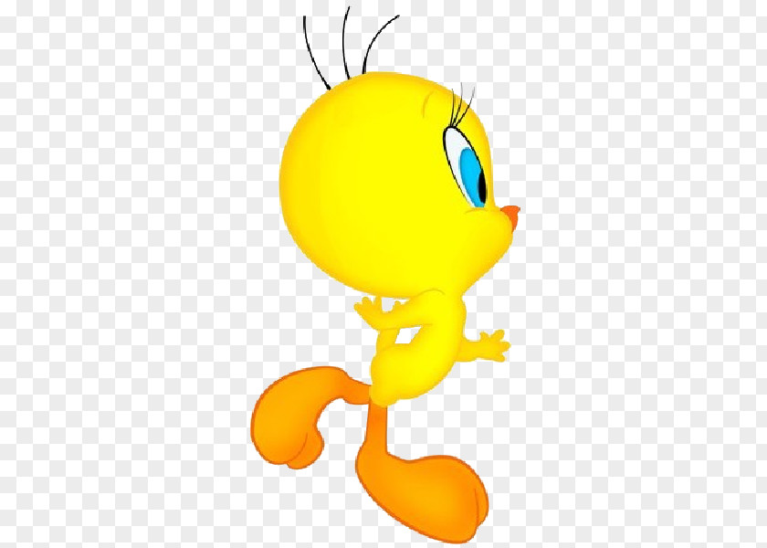 Tweety Graphic Frames Character Clip Art PNG