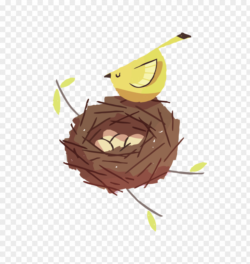 Vector Bird's Nest Bird Cartoon Drawing Illustration PNG