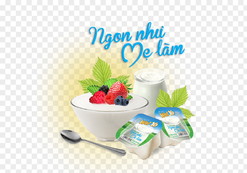 Chuồn Frozen Yogurt Diet Food Crème Fraîche Flavor PNG