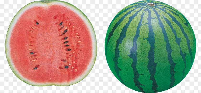 Frutas Watermelon Food Clip Art PNG