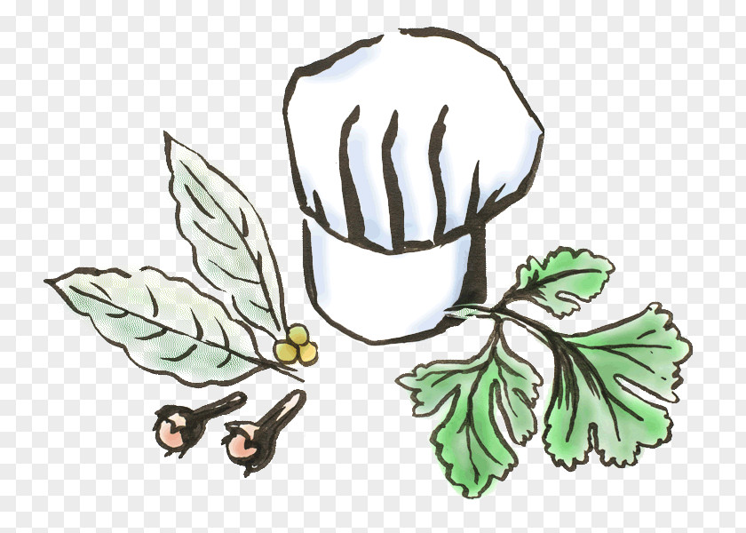 Futter Clip Art Seed Illustration Drawing Herb PNG