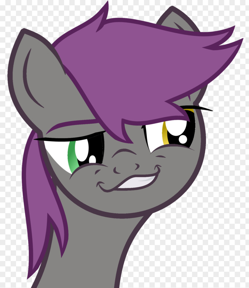 Horse Whiskers Pony Cat PNG