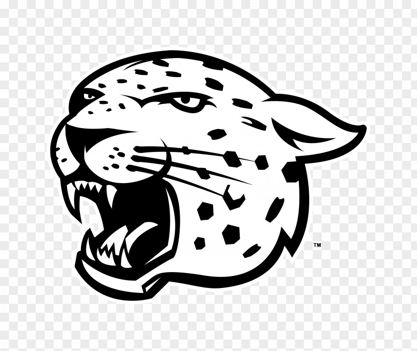 Leopard Jaguar Logo Drawing Clip Art PNG