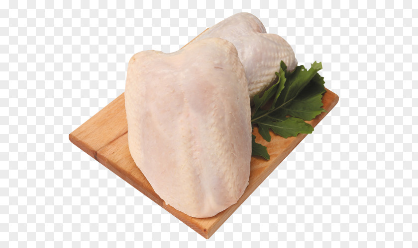 Meat Broiler Muscle Fillet Net D PNG