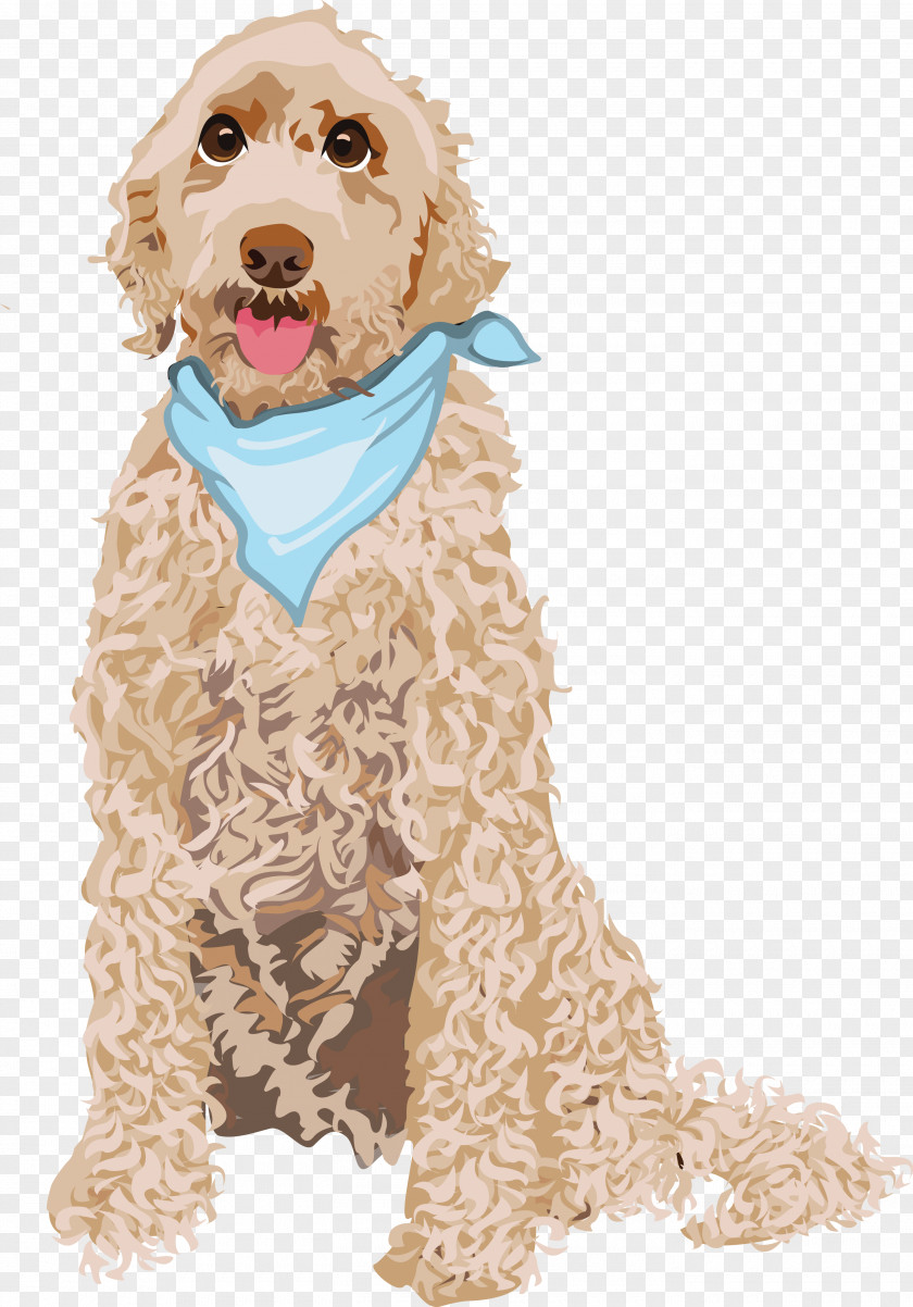 Puppy Goldendoodle Cockapoo Dog Breed Email PNG