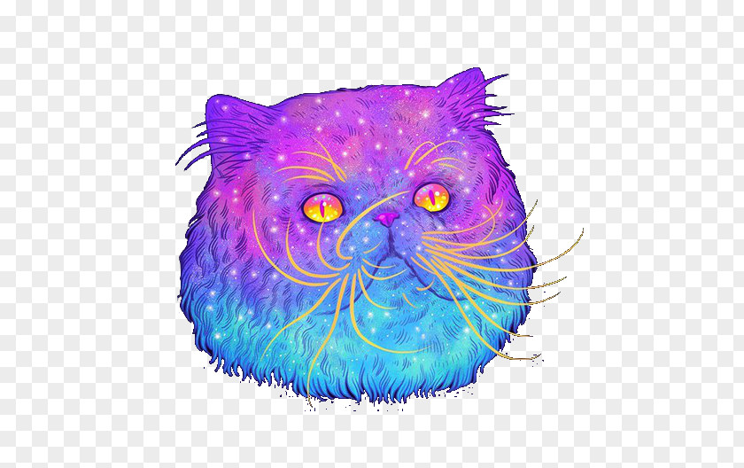 Cat Illustration Image Painting Art PNG