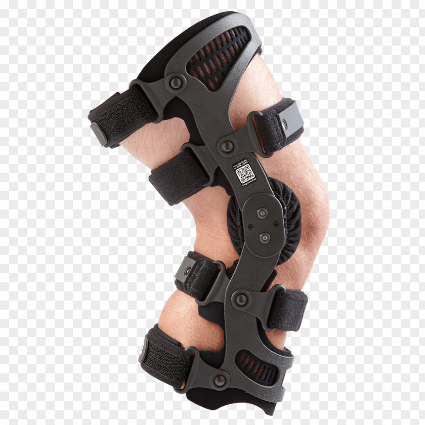Knee Osteoarthritis Medial Collateral Ligament Arthritis PNG