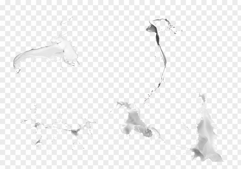 Milk Spilled Liquid White Cattle PNG