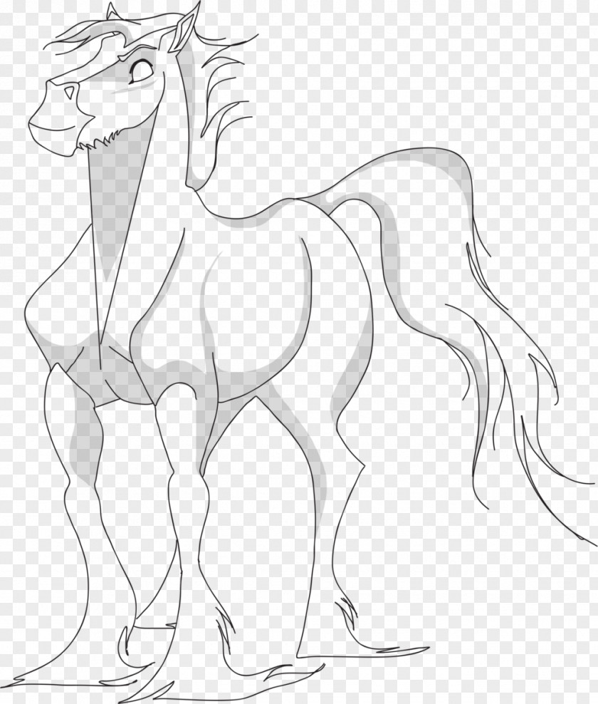 Mustang Clydesdale Horse Pony Drawing Line Art PNG