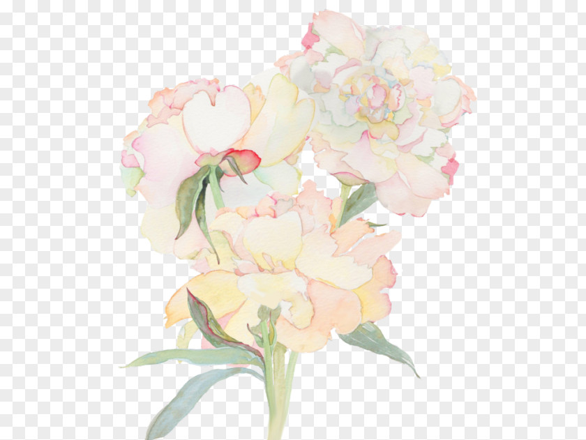 Painting Paper Watercolor Flower Drawing PNG