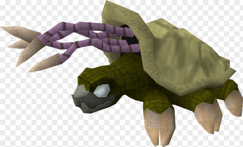 Tortoide RuneScape Turtle Reptile Desert Tortoise PNG