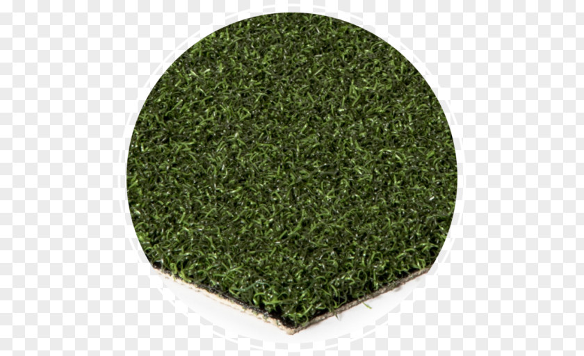 Artificial Turf Golf Course Sod Lawn Sport PNG