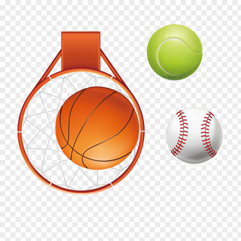 Basketball Baseball Softball Vector Material Euclidean PNG