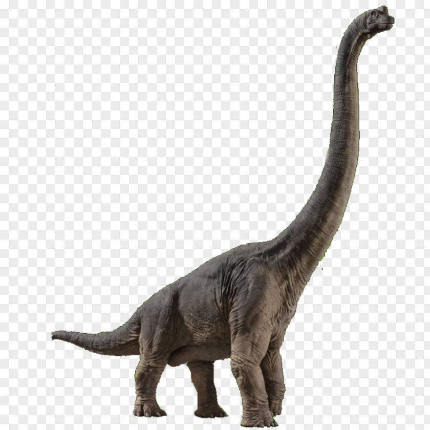 Jurassic World: Fallen Kingdom Brachiosaurus Velociraptor Spinosaurus Park Builder World Evolution PNG
