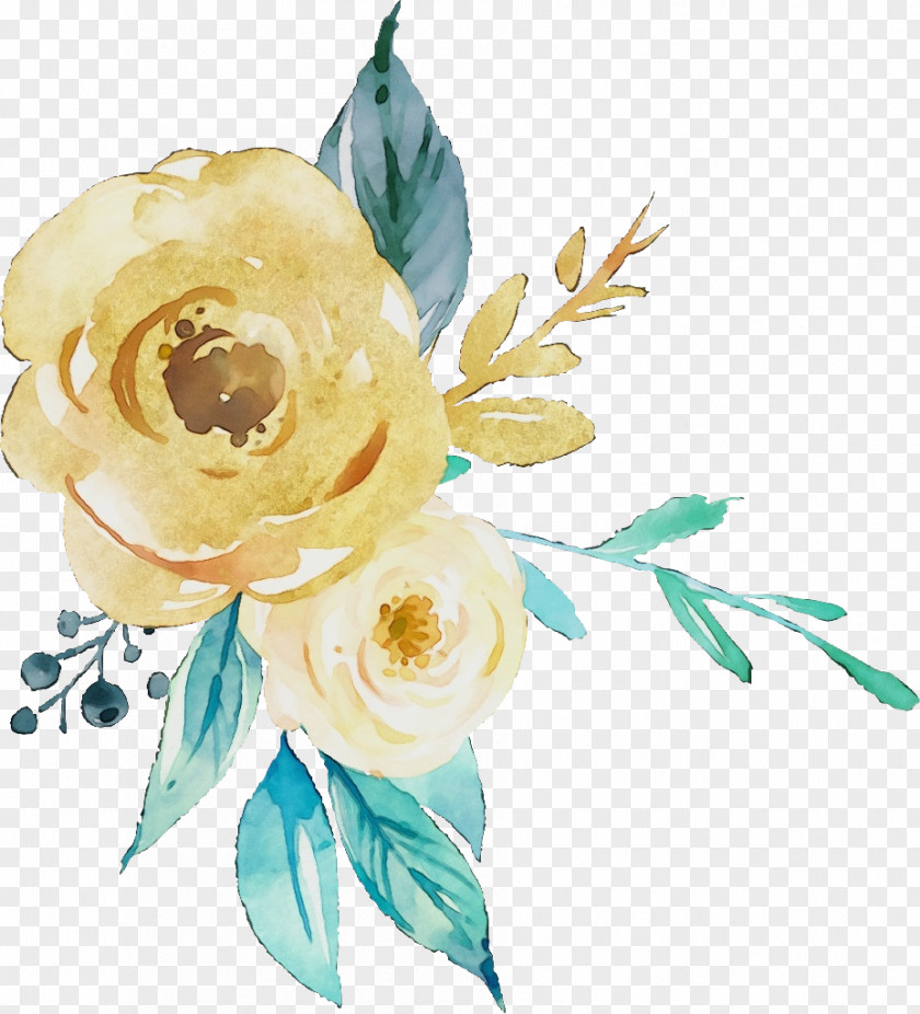 Persian Buttercup Floristry Watercolor Floral Background PNG
