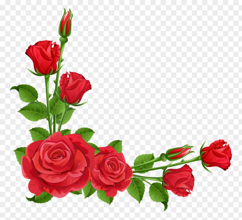 Rose Border PNG border clipart PNG