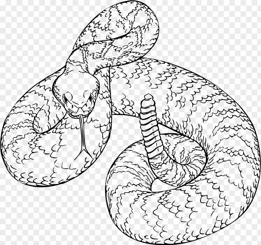 Snake Western Diamondback Rattlesnake Clip Art PNG