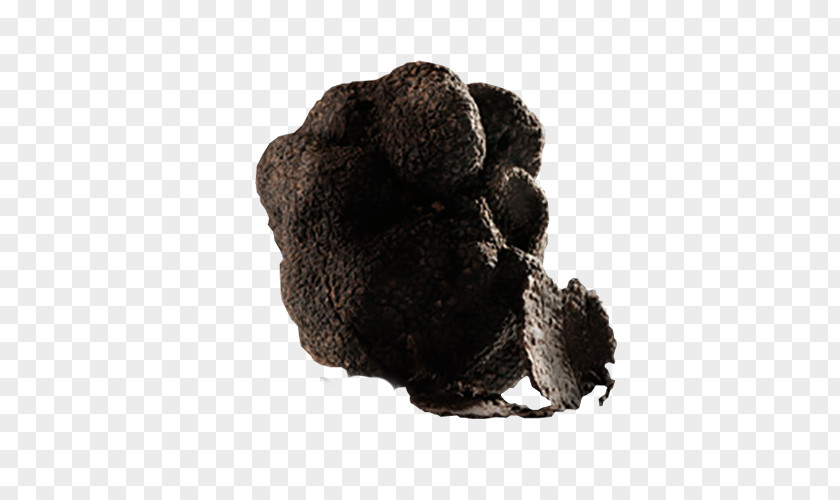 Truffle Tuber Aestivum Food Uncinatum Product PNG