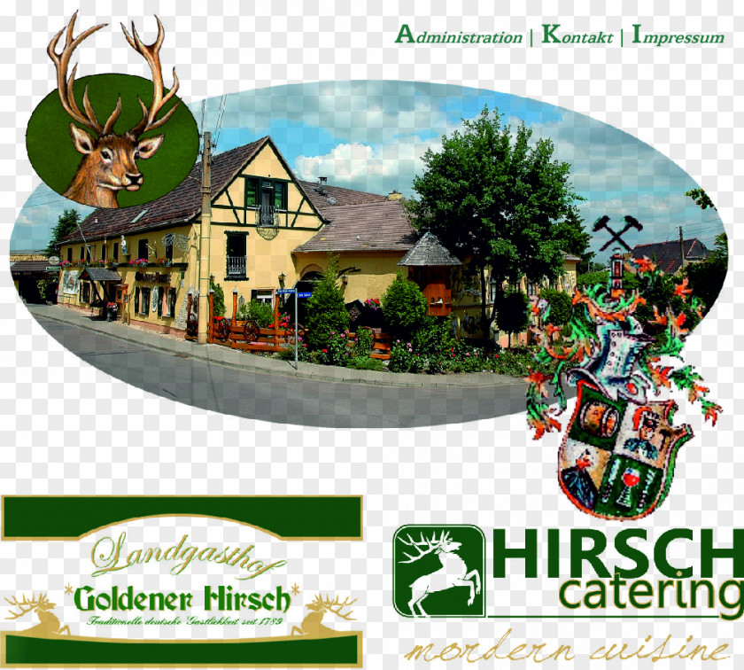 Hotel Goldener Hirsch Restaurant Inn PNG