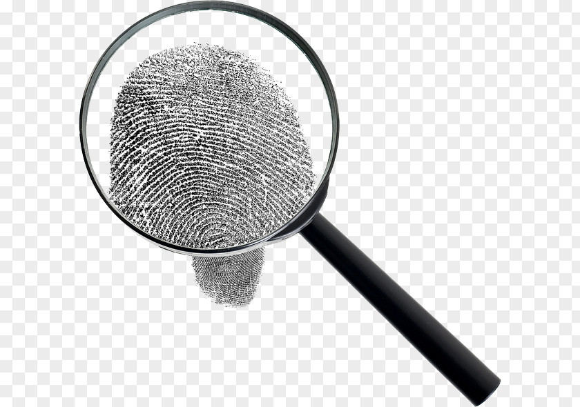 Magnifying Glass Background Check Fingerprint Criminal Record PNG