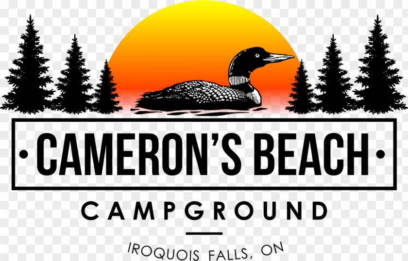 Night Camping Background Cameron's Beach Campground Campsite Logo Business Brand PNG