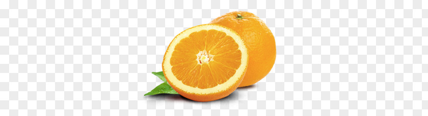 Orange PNG