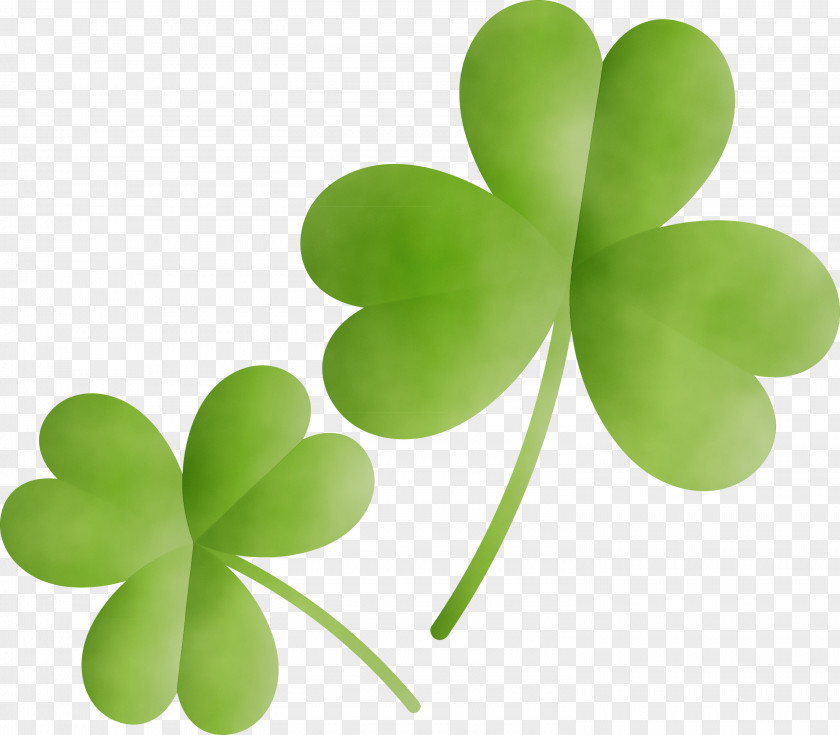 Shamrock PNG