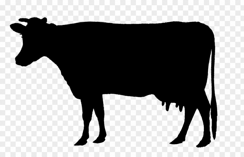 Animal Silhouettes Holstein Friesian Cattle Calf Beef Clip Art PNG