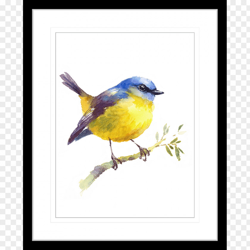 Bird Watercolor Painting Art Drawing PNG