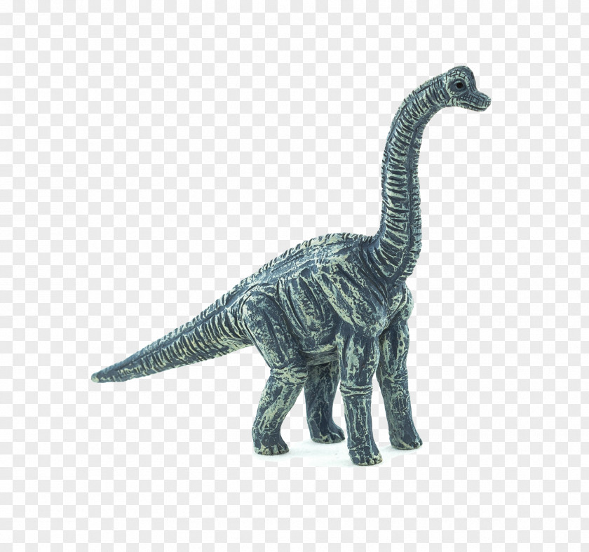 Dinosaur Brachiosaurus Parasaurolophus Velociraptor Stegosaurus PNG