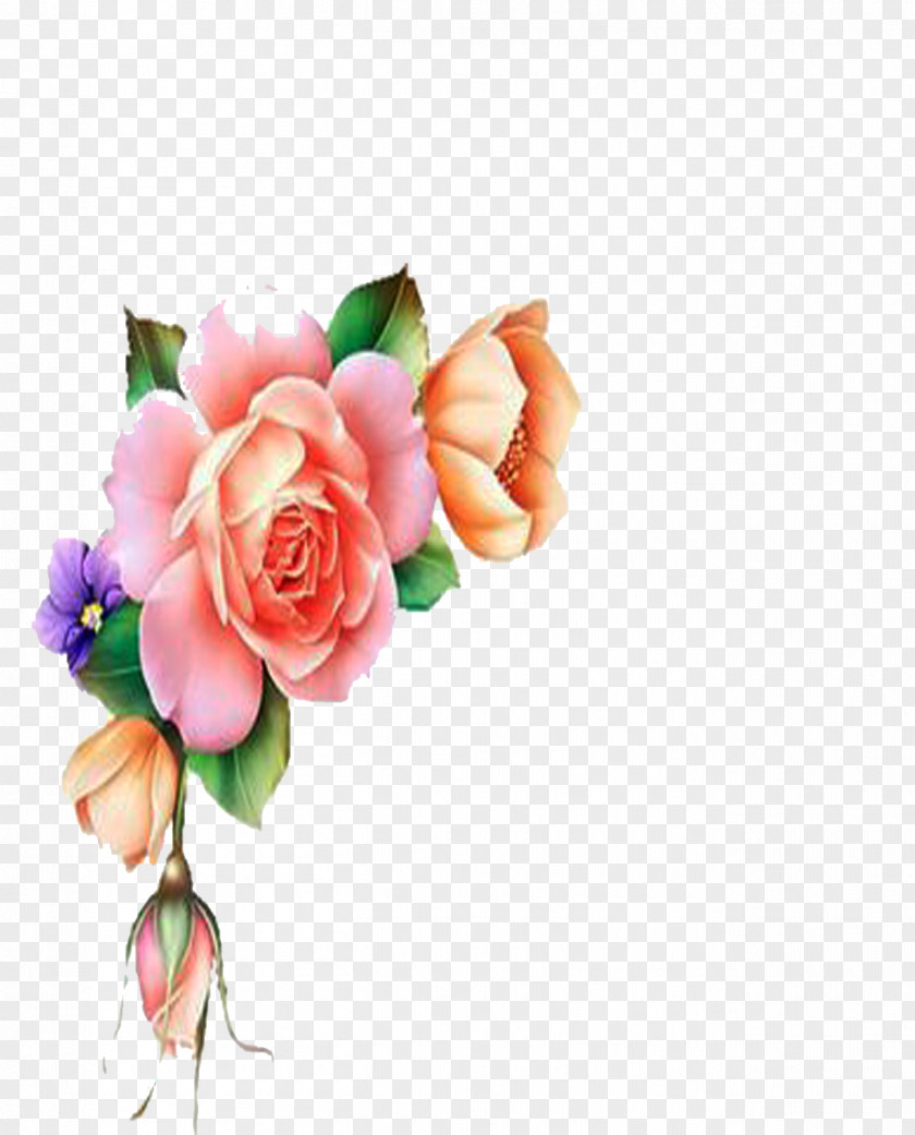 Esquineros Watercolor Garden Roses Cut Flowers Cabbage Rose Floral Design PNG