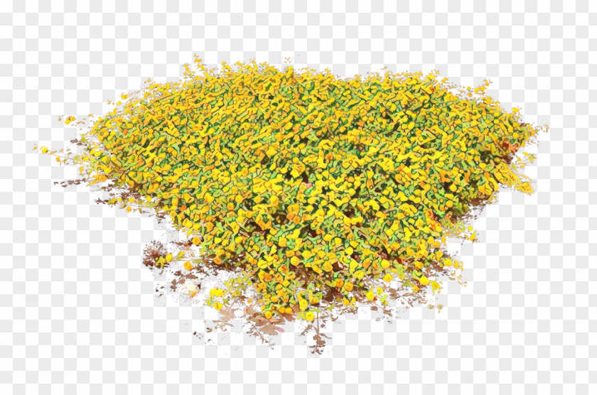 Perennial Plant Pollen Yellow Flower PNG