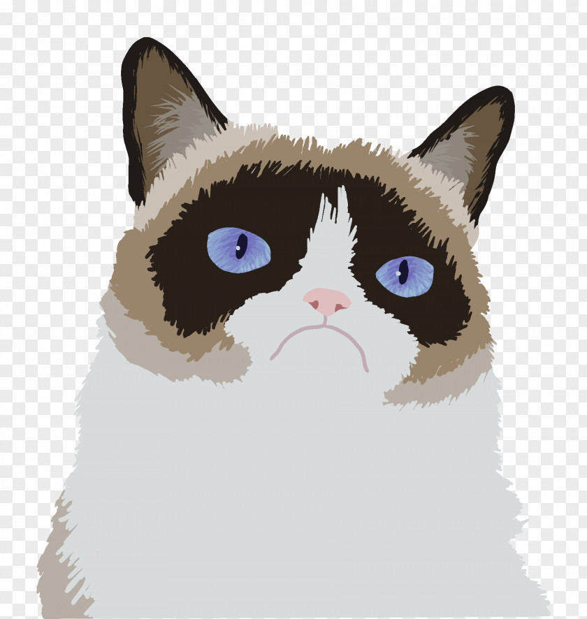 Cats Grumpy Cat Food Himalayan Art PNG