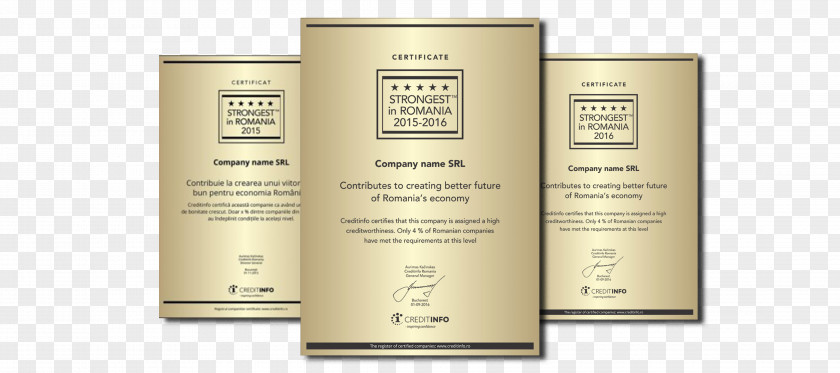 Certificate Banner Sud-Est Românești, Iași Ialomița County Central Europe Economics PNG