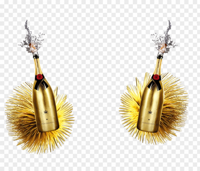 Champagne Fireworks Beer Bottle PNG