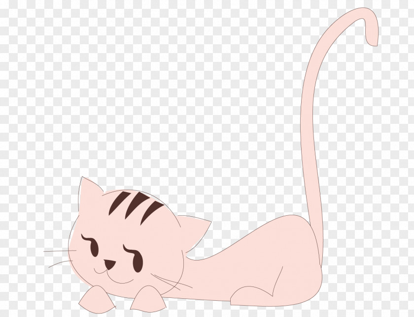 Pink Cat Kitten Whiskers Illustration PNG
