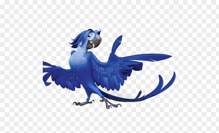 Rio2 Roberto Macaw Parrot Wing Fictional Character PNG
